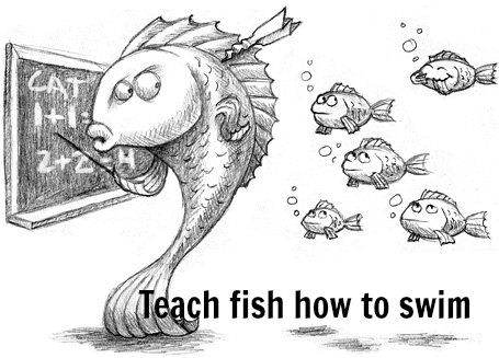 1school-of-fish.jpg